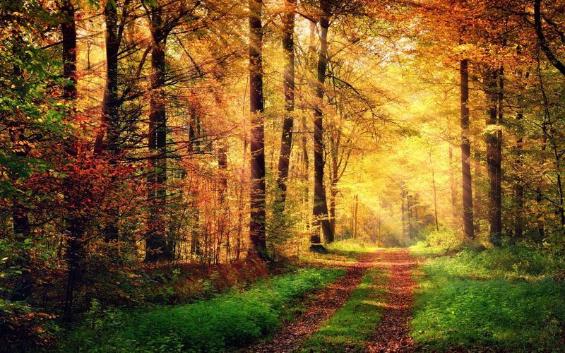 Autumn activities that you can do to relax after trading 