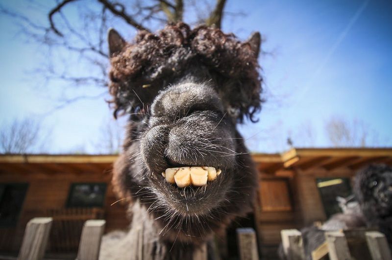 Do I have something in my teeth?