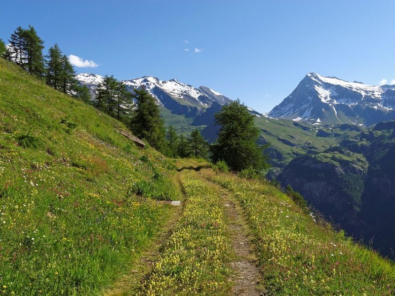 Next time you're hiking in Switzerland, please keep your cloths on.